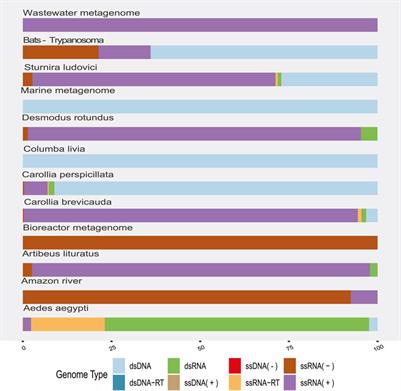 Exploring Virome Diversity in Public Data in South America as an Approach for Detecting Viral Sources From Potentially Emerging Viruses